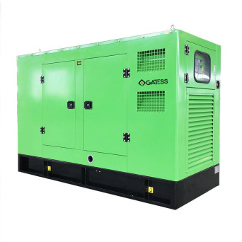 CNG/LPG Dual Fuel Generator - GPL10