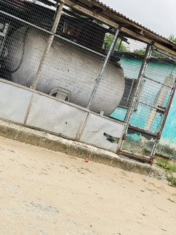 Complete 1.5 tank and dispenser