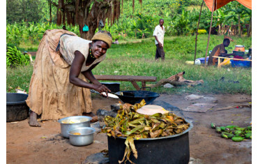 The Impact of LPG Adoption on Health in Nigeria