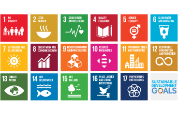 Unveiling the Power of LPG in Achieving Sustainable Development Goals