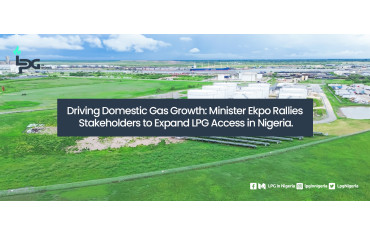 Driving Domestic Gas Growth: Minister Ekpo Rallies Stakeholders to Expand LPG Access in Nigeria