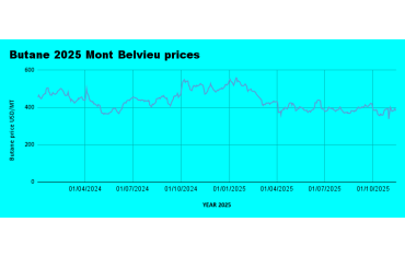 Weekly LPG Mont Belvieu and Nigerian LPG price review November 14th 2025-LPG Blog