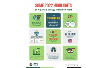 The Plausibility of the Nigerian Energy Transition Plan by 2030