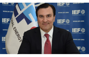 CAN NIGERIA BE A PART OF THE IEF $4.9 TRILLION OIL & GAS INVESTMENT BY 2030?