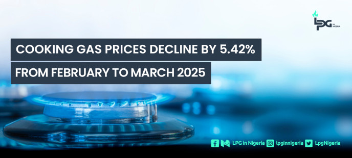 Cooking Gas Prices Decline by 5.42% from February to March 2025